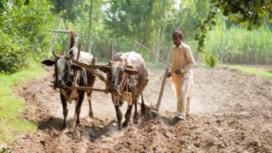 Devanahalli Landowners Offered ₹2.70 Crore Per Acre in Major Acquisition Proposal