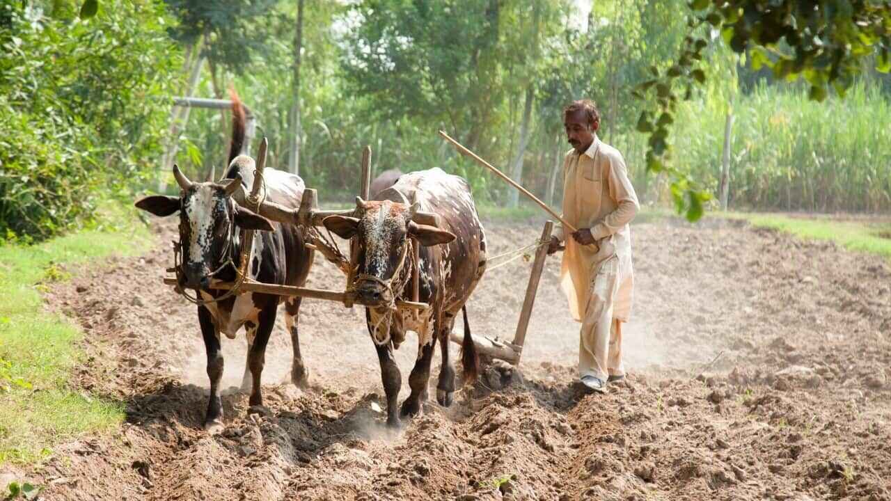 Devanahalli Landowners Offered ₹2.70 Crore Per Acre in Major Acquisition Proposal