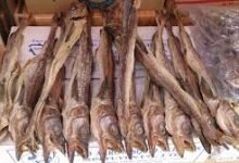 Dry Fish Offers Surprising Health Benefits but May Not Suit Everyone