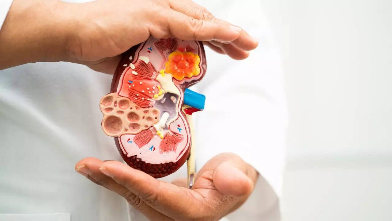 Early Warning Signs of Kidney Failure You Should Never Ignore as Body Sends 5 Clear Alerts Before Damage