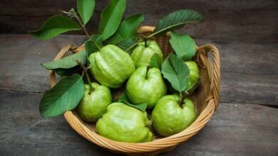 Guava Eating Mistakes That May Harm Digestion Experts Warn Against Common Food Combinations