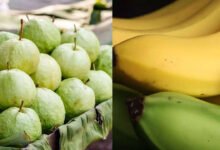 Guava or Banana Which Fruit Deserves a Place in Your Daily Diet