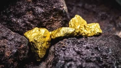 India’s First Private Gold Mine Begins Operations in Andhra Pradesh