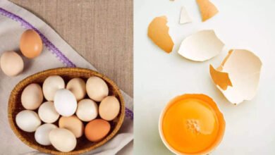 Is It Safe to Eat Eggs During Monsoon Experts Explain the Real Health Benefits