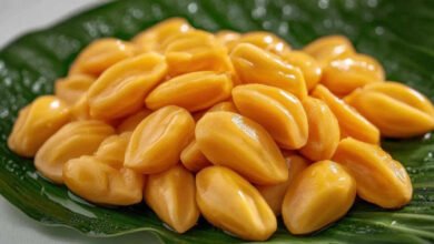 Jackfruit Seeds Are Not Waste Discover the Hidden Superfood Benefits You Should Not Ignore