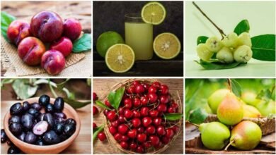 Monsoon Fruits That Help Boost Immunity and Keep You Healthy Naturally