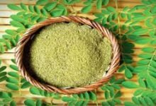 Moringa Pods Benefits That Bring Surprising Changes To Your Health