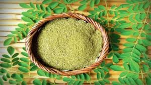 Moringa Pods Benefits That Bring Surprising Changes To Your Health
