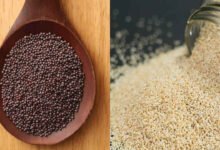 Mustard Seeds Health Benefits Why This Tiny Spice Deserves a Big Place in Your Kitchen