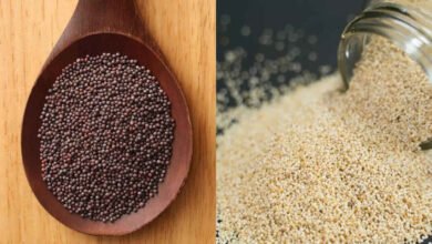 Mustard Seeds Health Benefits Why This Tiny Spice Deserves a Big Place in Your Kitchen