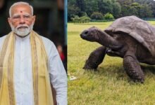 PM Modi to Meet World Famous 194 Year Old Tortoise During Seychelles Visit
