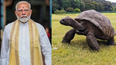 PM Modi to Meet World Famous 194 Year Old Tortoise During Seychelles Visit