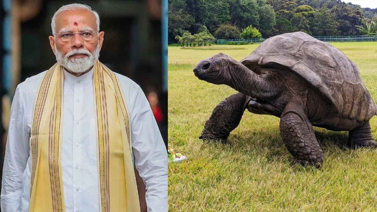 PM Modi to Meet World Famous 194 Year Old Tortoise During Seychelles Visit
