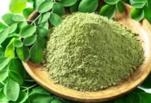 Power Packed Drumstick Leaf Powder for Daily Health Benefits and Easy Home Preparation