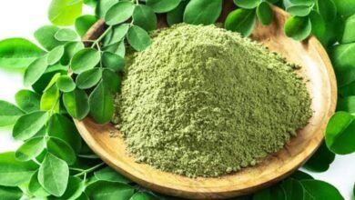 Power Packed Drumstick Leaf Powder for Daily Health Benefits and Easy Home Preparation
