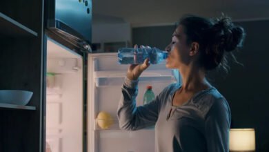 Refrigerator Water Leakage Problems Simple Home Fix Tips Without Costly Repair