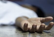 Bengaluru: Student Dies After Falling From Jackfruit Tree