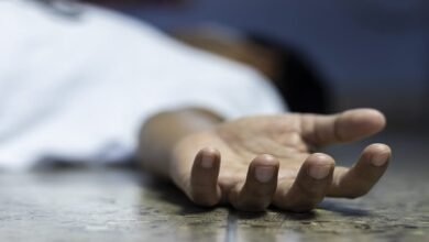 Bengaluru: Student Dies After Falling From Jackfruit Tree