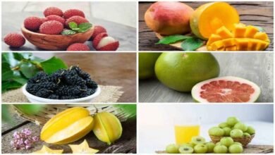 Summer Fruits You Should Not Miss Why Indian Seasonal Berries Are a Natural Health Treasure