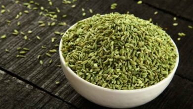 Tiny Seeds Big Health Benefits Why Eating Fennel After Meals Can Transform Your Wellness