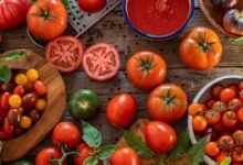 Tomatoes Lead the List of Foods That May Support Male Fertility and Reproductive Health