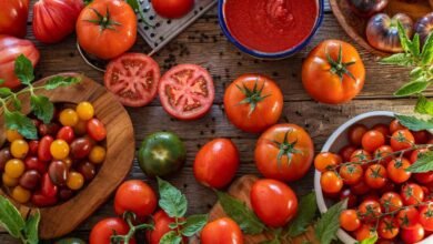 Tomatoes Lead the List of Foods That May Support Male Fertility and Reproductive Health