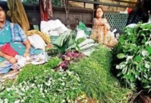 Vegetable Prices Surge in Bengaluru Beans Brinjal and Garlic Cross 100 Rupee Mark