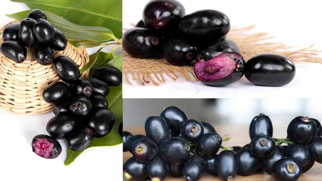 Viral Health Alert Monsoon Warning on Eating Jamun After Rainfall