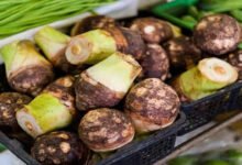 What Is Taro Root Discover the English Name and Surprising Health Benefits of This Popular Vegetable