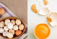Why Eggs Remain One of the Most Powerful Superfoods in Daily Nutrition