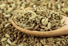 Why Fennel Seeds Are Becoming a Daily Wellness Essential for Women