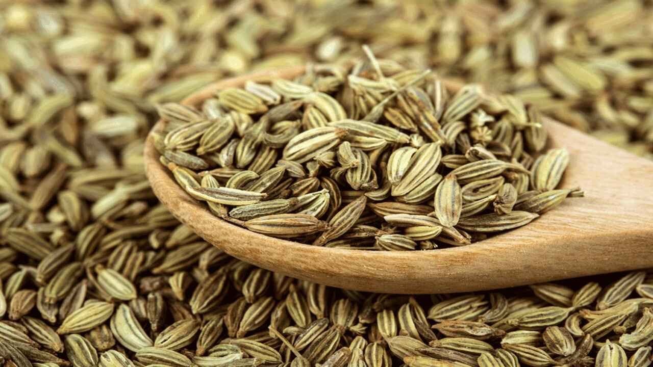 Why Fennel Seeds Are Becoming a Daily Wellness Essential for Women