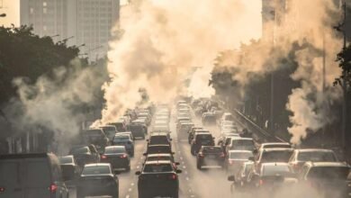 Bengaluru Air Quality Remains Healthy As Monsoon Brings Cleaner Air Across Karnataka