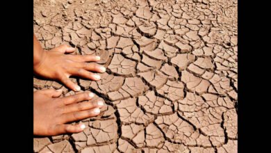 Coastal Karnataka Faces Sharp Rainfall Deficit Raising Drought Concerns