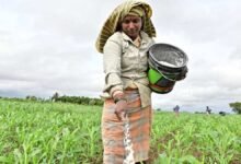 Crop Insurance Registration Deadline Extended for Farmers in Four Karnataka Districts