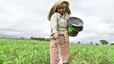 Crop Insurance Registration Deadline Extended for Farmers in Four Karnataka Districts
