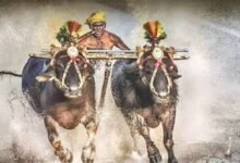 Debate Grows Over Proposal to Include Kambala in Mysuru Dasara Celebrations
