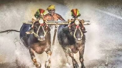 Debate Grows Over Proposal to Include Kambala in Mysuru Dasara Celebrations