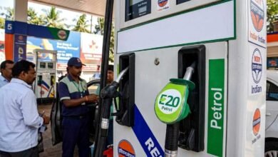 E20 Petrol Reduce Mileage? Government Issues Official Clarification