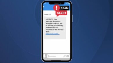 Fake Delivery Scams Rise During Online Sale Season as Experts Warn Shoppers to Stay Alert