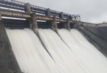 Falling Water Levels at Bhadra Reservoir Force Authorities to Prioritize Drinking Water