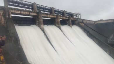 Falling Water Levels at Bhadra Reservoir Force Authorities to Prioritize Drinking Water