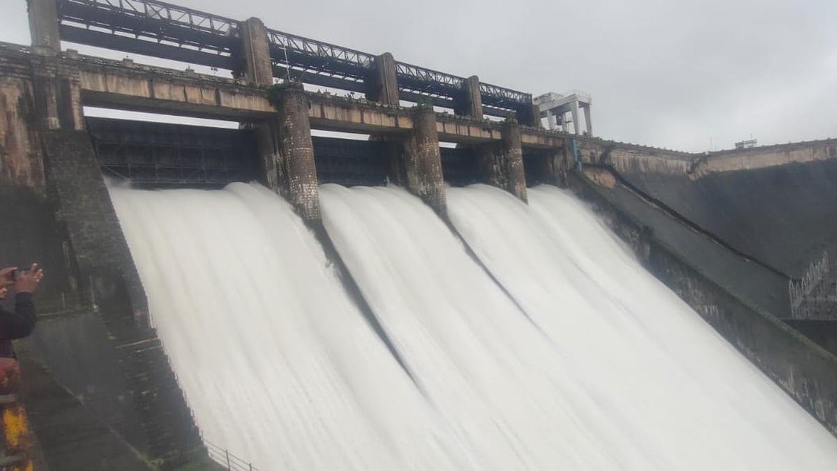 Falling Water Levels at Bhadra Reservoir Force Authorities to Prioritize Drinking Water