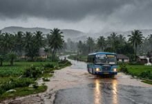 Heavy Rainfall Across Karnataka for Next 3 Days: Issued Alert for Several Districts