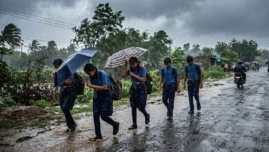 IMD Issues Heavy Rain Alerts Across 20 States: Announced school holiday