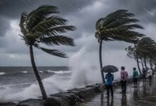 Karnataka Braces for Heavy Rain Over the Next 48 Hours; IMD Issues Alerts