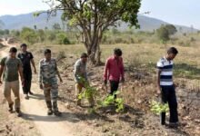 Karnataka Forest Department Invites Applications for 750 Forest Watcher Posts