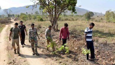 Karnataka Forest Department Invites Applications for 750 Forest Watcher Posts