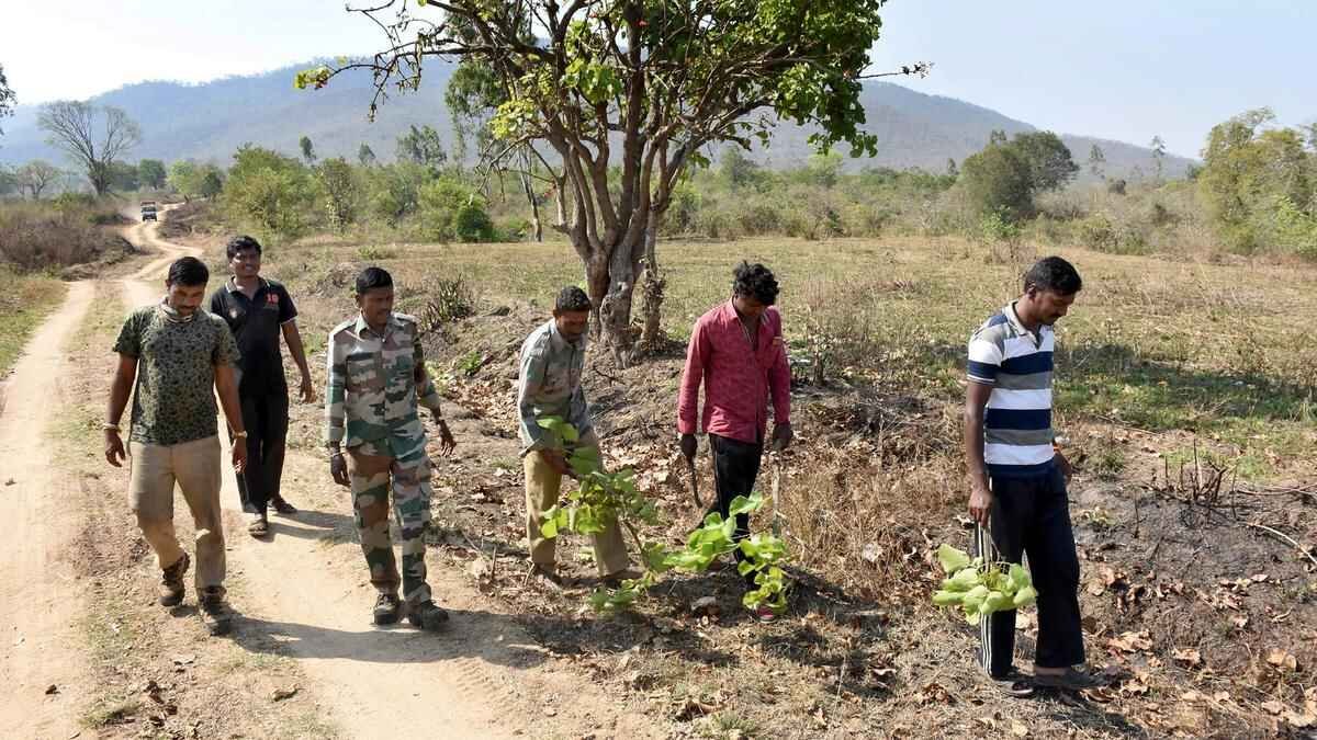 Karnataka Forest Department Invites Applications for 750 Forest Watcher Posts