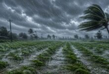 Karnataka Heavy Rainfall: Red Alert Issued For 3 Districts